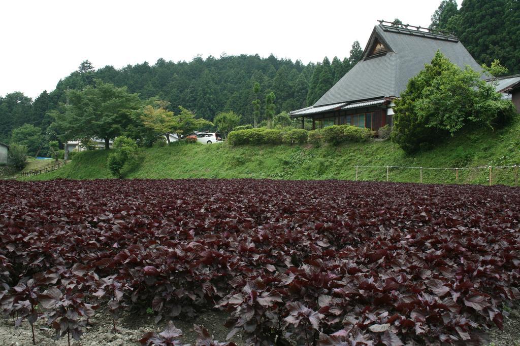 Yumoto Onsen Oharasansou Hotel Kyoto Exterior foto